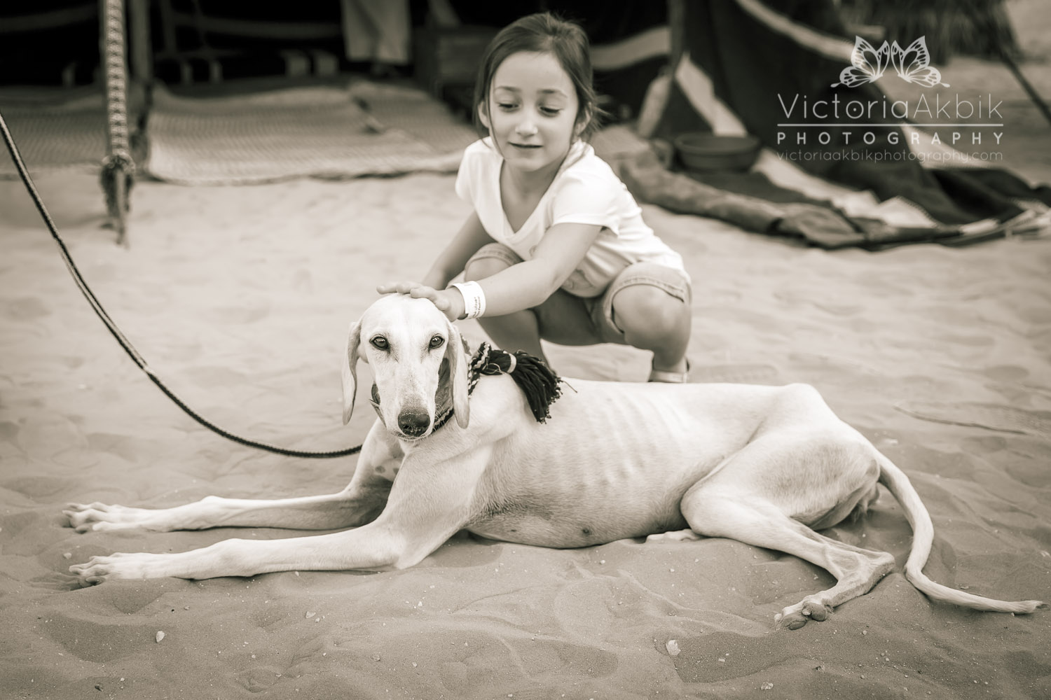 Qasr Al Hosn Festival 2015 | Abu Dhabi Lifestyle Family Photography » Victoria Akbik Photography