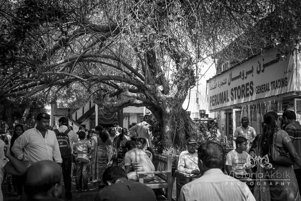 ClickinWalk Dubai 2016 | Abu Dhabi Lifestyle Family Photography » Victoria Akbik Photography